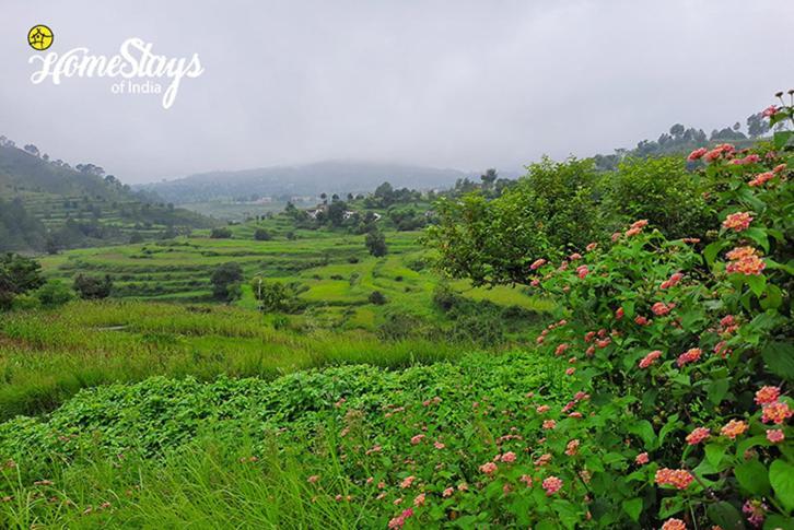 Dwarahat Village Farmstay- Babaji'S Cave Екстериор снимка