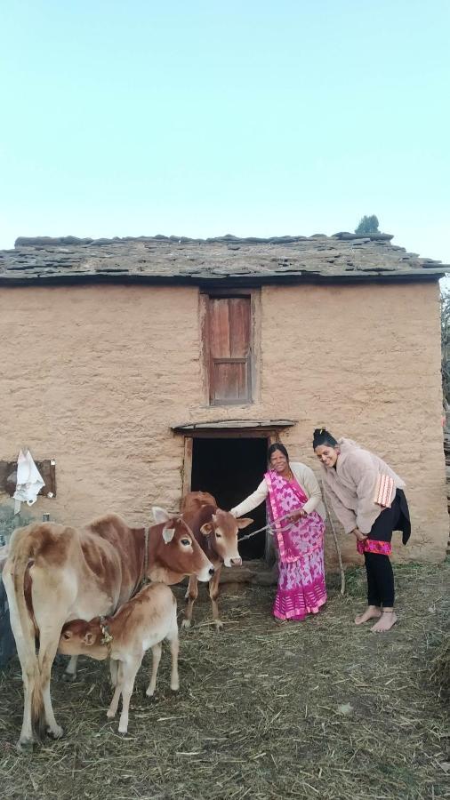 Dwarahat Village Farmstay- Babaji'S Cave Екстериор снимка