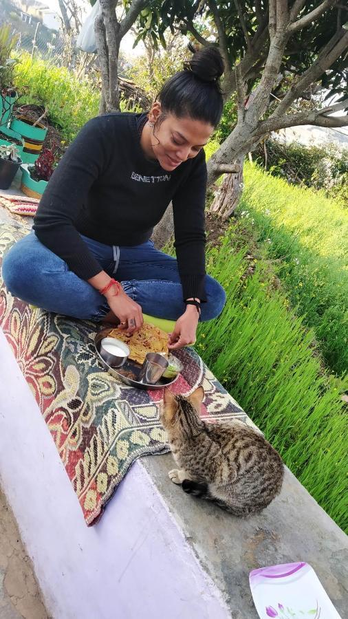 Dwarahat Village Farmstay- Babaji'S Cave Екстериор снимка